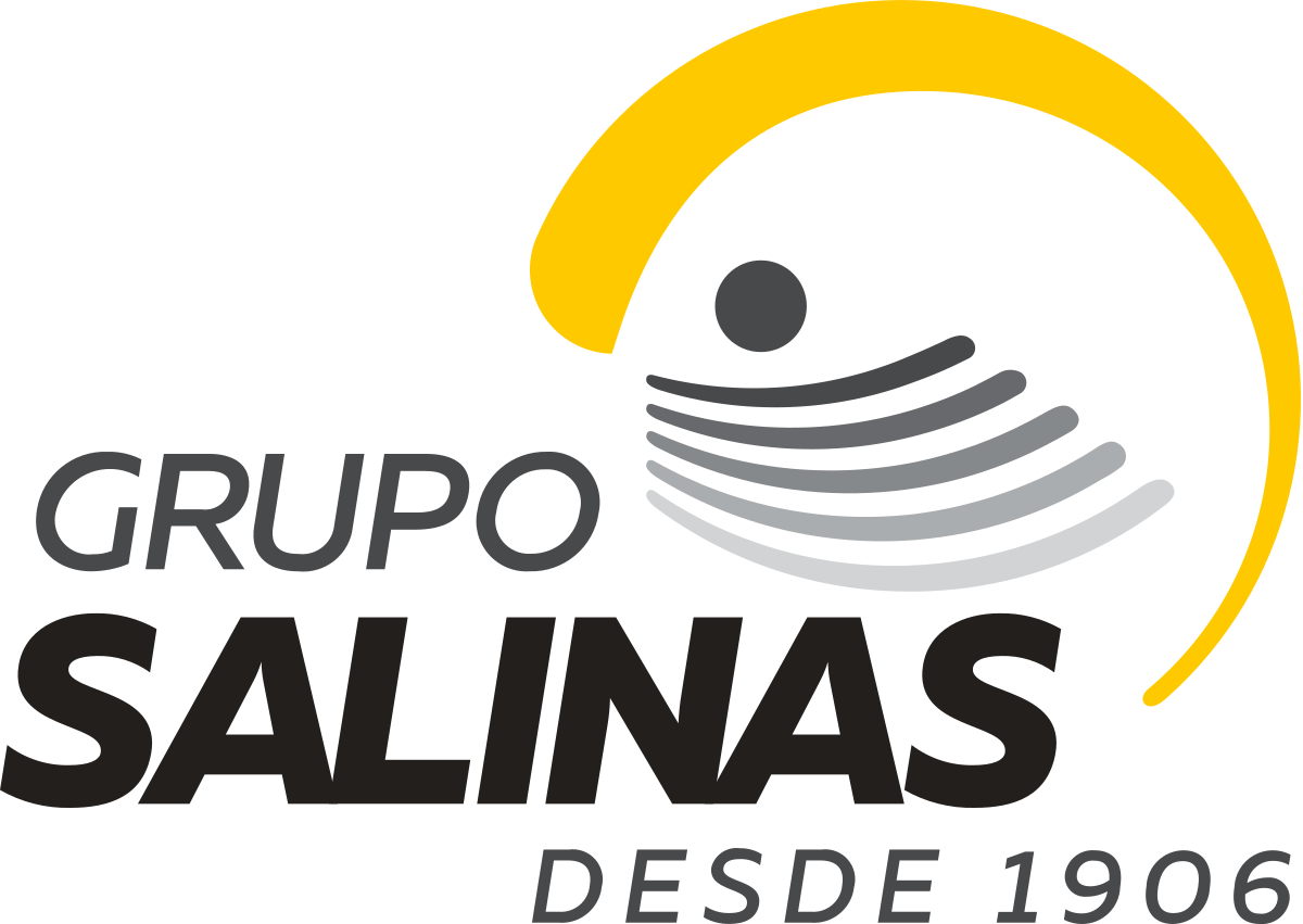 Logotipo_de_Grupo_Salinas.svg (1)